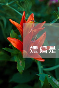 嫖娼是什么意思(做夢夢見去嫖娼是什么意思)
