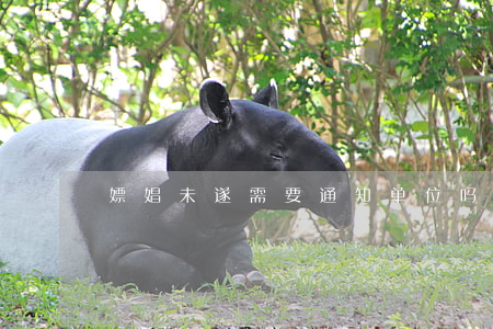 嫖娼未遂需要通知单位吗