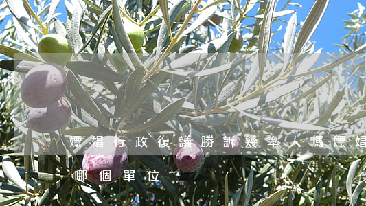 嫖娼行政復議勝訴幾率大嗎(嫖娼行政復議找哪個單位)