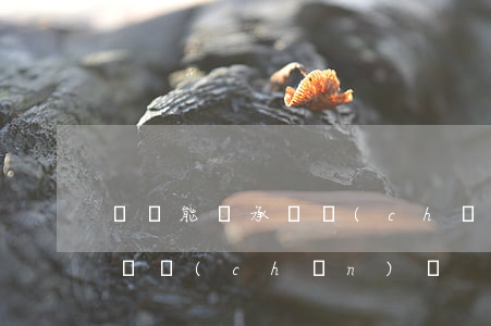 嬰兒能繼承遺產(chǎn)嗎(嬰兒能繼承遺產(chǎn)嗎)