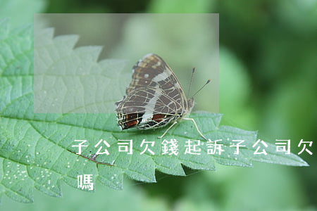 子公司欠錢起訴(子公司欠錢可以起訴總公司嗎)