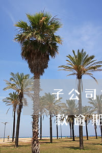 子公司貸款逾期對母公司的影響-子公司貸款逾期對母公司的影響有哪些