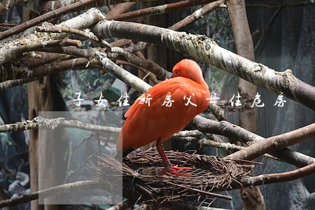 子女住新房，父母住危房，罰！