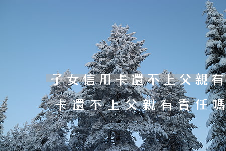 子女信用卡還不上父親有責任嗎-子女信用卡還不上父親有責任嗎怎么辦