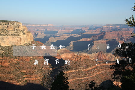 子女去世遺產(chǎn)怎么繼承(兒子死后留下的遺產(chǎn)父母能繼承嗎)