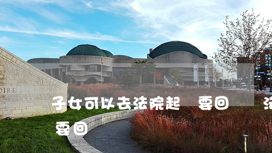 子女可以去法院起訴要回來嗎(法院起訴錢能要回來嗎)