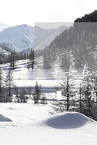子女在父母之后去世屬于什么繼承(父母去世,孫子有繼承權嗎)