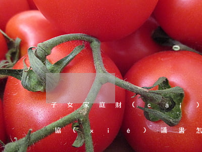 子女家庭財(cái)產(chǎn)繼承協(xié)議書怎么寫(子女財(cái)產(chǎn)協(xié)議書)