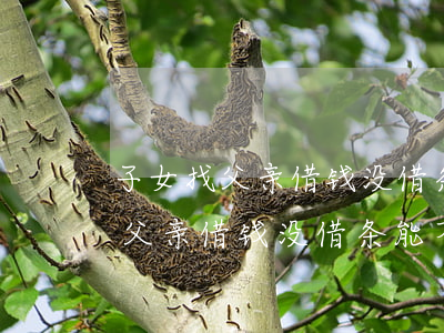 子女找父亲借钱没借条能不能起诉-子女找父亲借钱没借条能不能起诉对方