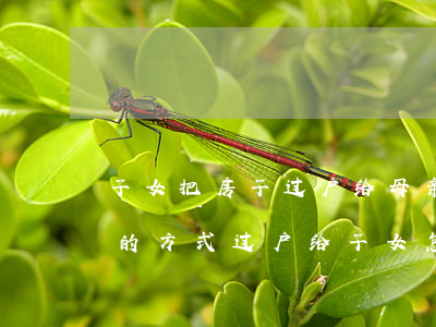 子女把房子过户给母亲算继承吗(房子以继承的方式过户给子女怎么办理)