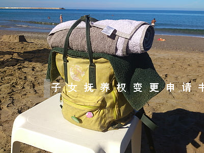 子女抚养权变更申请书范本