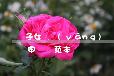 子女撫養(yǎng)權(quán)變更申請書范本