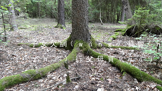 子女欠網(wǎng)貸會(huì)執(zhí)行父母買(mǎi)的房子嗎(父母欠債后給子女買(mǎi)房會(huì)被強(qiáng)制執(zhí)行嗎)