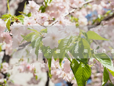子女欠銀行信用卡透支款父母有責(zé)任還嗎-子女欠信用卡的錢父母還嗎