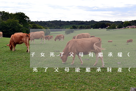 子女死了父母有繼承權(quán)嗎(女兒死了父母能繼承財產(chǎn))
