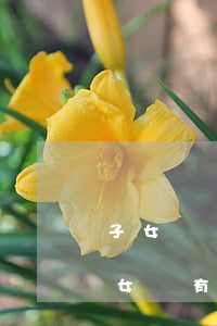 子女沒贍養(yǎng)老人有繼承權嗎(兒女沒有贍養(yǎng)老人有繼承房產(chǎn)的權利嗎)