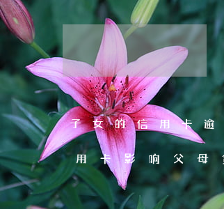子女的信用卡逾期会影响父母么吗(子女欠信用卡影响父母贷款吗)