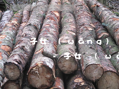 子女網(wǎng)貸逾期會扣父母銀行卡錢嗎-子女網(wǎng)貸逾期會扣父母銀行卡錢嗎怎么辦