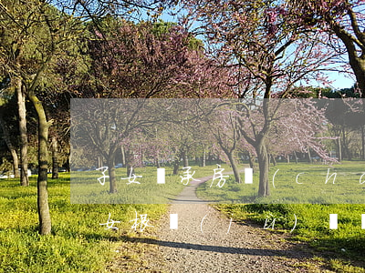 子女繼承房產(chǎn)需要交個稅嗎(子女根據(jù)遺囑繼承房產(chǎn)要交稅嗎)