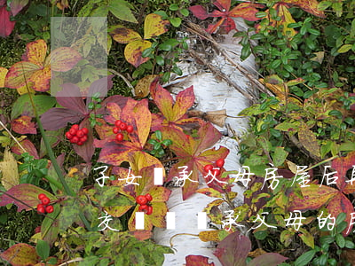 子女繼承父母房屋后再賣調(diào)要交稅嗎(繼承父母的房子后再出售需要什么稅)