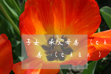 子女繼承父母房產(chǎn)一定要公證嗎(房產(chǎn)繼承給子女遺囑一定要到公證處公證嗎)