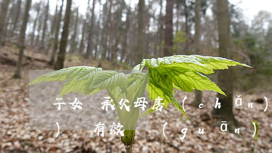 子女繼承父母房產(chǎn)協(xié)議有效嗎(關(guān)于父母遺產(chǎn)繼承協(xié)議怎么寫)