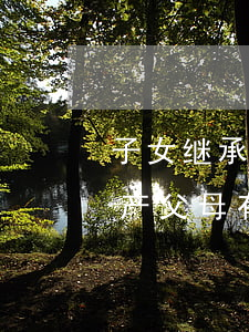 子女继承父母的房产有什么法律规定(子女房产父母有继承权吗)