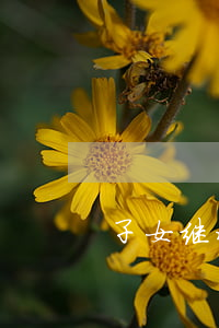 子女继承父母的房产满五年后能买卖吗