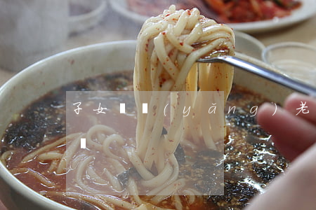 子女贍養(yǎng)老人協(xié)議書