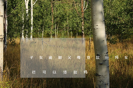 子女逾期父母贷款行吗(女儿贷款逾期了父母还可以贷款吗?)