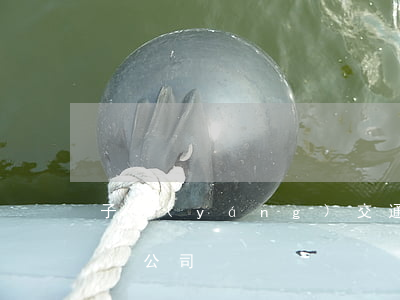 子陽(yáng)交通事故保險(xiǎn)公司