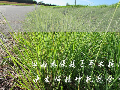 孕妇为保孩子手术拒用麻药，法官突破常规判决支持精神抚慰金诉请