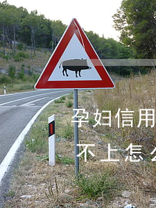 孕妇信用卡逾期还不上怎么办(信用卡逾期还不上怎么办用什么办法解决)