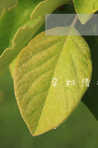 孕妇借钱被起诉-孕妇去法院起诉欠钱不还