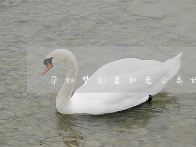 孕妇梦到要和老公离婚