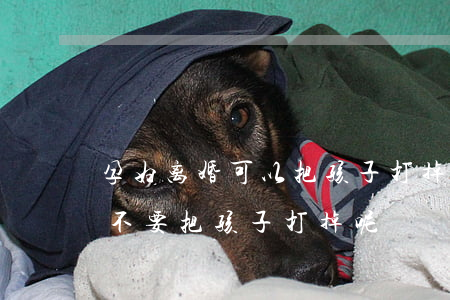 孕妇离婚可以把孩子打掉吗(怀孕了想离婚要不要把孩子打掉呢)