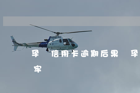 孕婦信用卡逾期后果(懷孕了信用卡逾期會坐牢嗎)