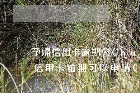 孕婦信用卡逾期會(huì)怎么樣(懷孕后信用卡逾期可以申請(qǐng)延后還款嗎)