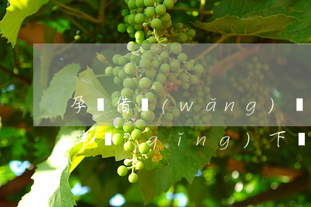孕婦借網(wǎng)貸逾期怎么辦(逾期能申請(qǐng)下來(lái)的網(wǎng)貸)