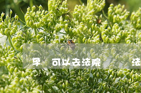 孕婦可以去法院聽審嗎(法院庭審可以隨便去聽嗎)