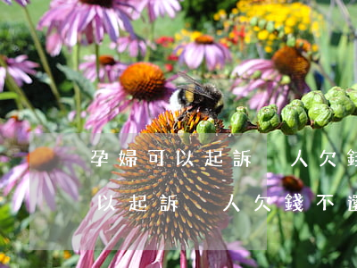 孕婦可以起訴別人欠錢不還的人嗎-孕婦可以起訴別人欠錢不還的人嗎怎么辦