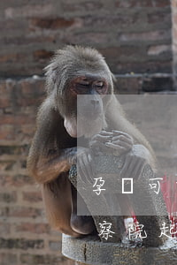 孕婦可以起訴嗎(懷孕了還會(huì)被檢察院起訴嗎)