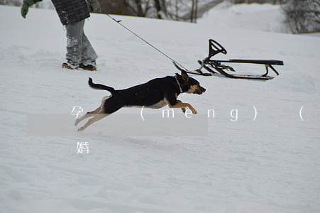 孕婦夢(mèng)見(jiàn)爸媽離婚