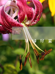 孕婦好累想離婚怎么辦