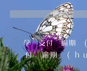 孕婦支付寶逾期（現(xiàn)在哺乳期支付寶逾期會(huì)被起訴嗎）