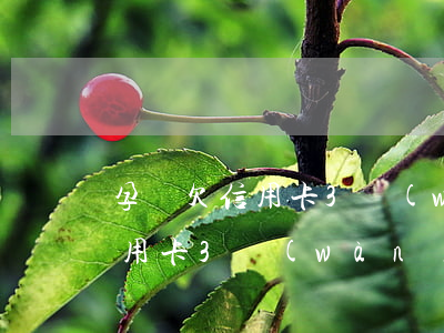 孕婦欠信用卡3萬(wàn)逾期(孕婦欠信用卡3萬(wàn)逾期一年)