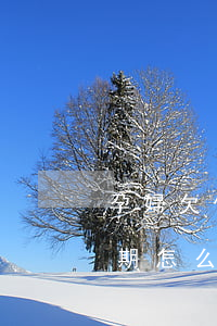孕婦欠信用卡逾期怎么消除(征信有信用卡逾期怎么處理可以消除)