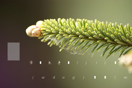 孕婦欠手機(jī)貸怎么處理(懷孕了欠網(wǎng)貸沒(méi)辦法還怎么辦)