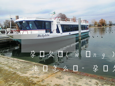 孕婦欠網(wǎng)貸信用卡無(wú)法還怎么辦-孕婦欠網(wǎng)貸還不上怎么辦