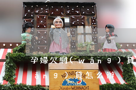 孕婦欠網(wǎng)貸怎么處理(欠網(wǎng)貸怎么辦)